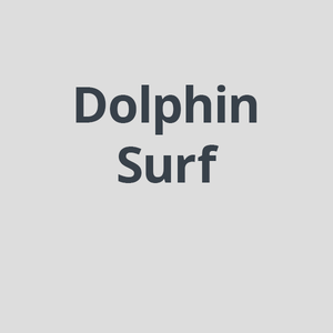 Dolphin Surf