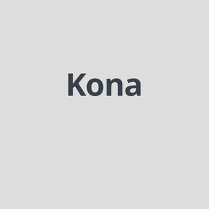 Kona SX2