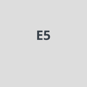 E5
